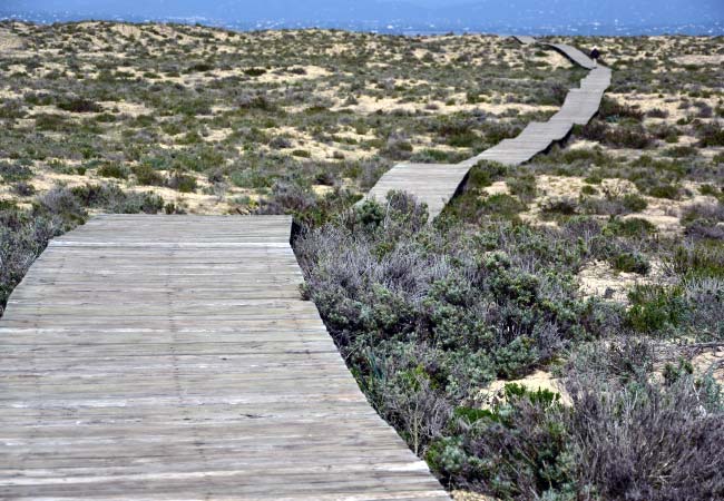 Passerelle in legno che attraversano Culatra