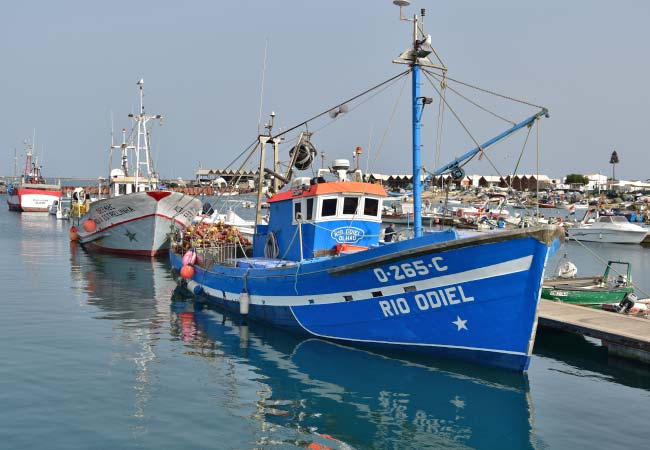 La flotte de pêche de Culatra