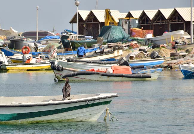 Il villaggio di pescatori di Culatra