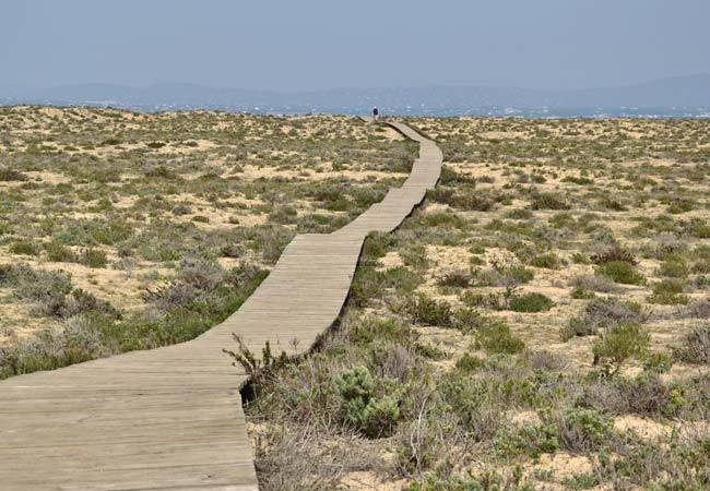 boardwalk Cabo de Santa María