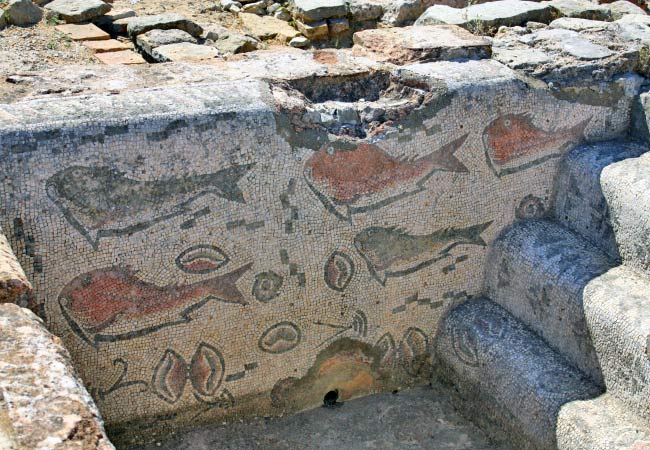 Milreu Roman fish mosaics